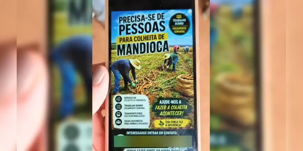 Os trabalhadores foram atraídos por um anúncio em rede social que oferecia trabalho para colher mandioca, com pagamento semanal