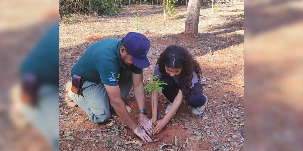 O programa Paraná Mais Verde incentiva o plantio de mudas de espécies nativas do Paraná.