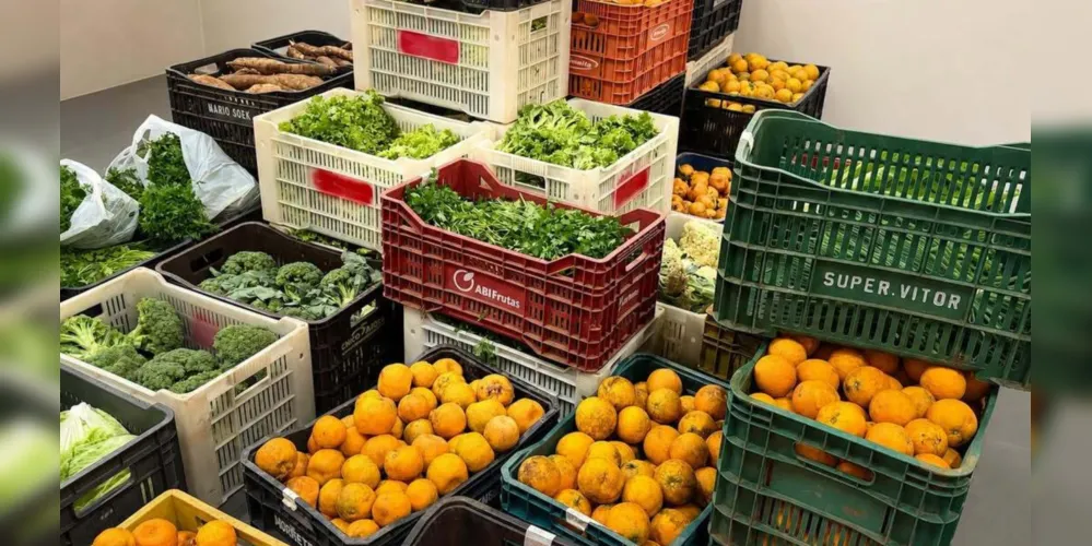 A ação fortalece a agricultura local