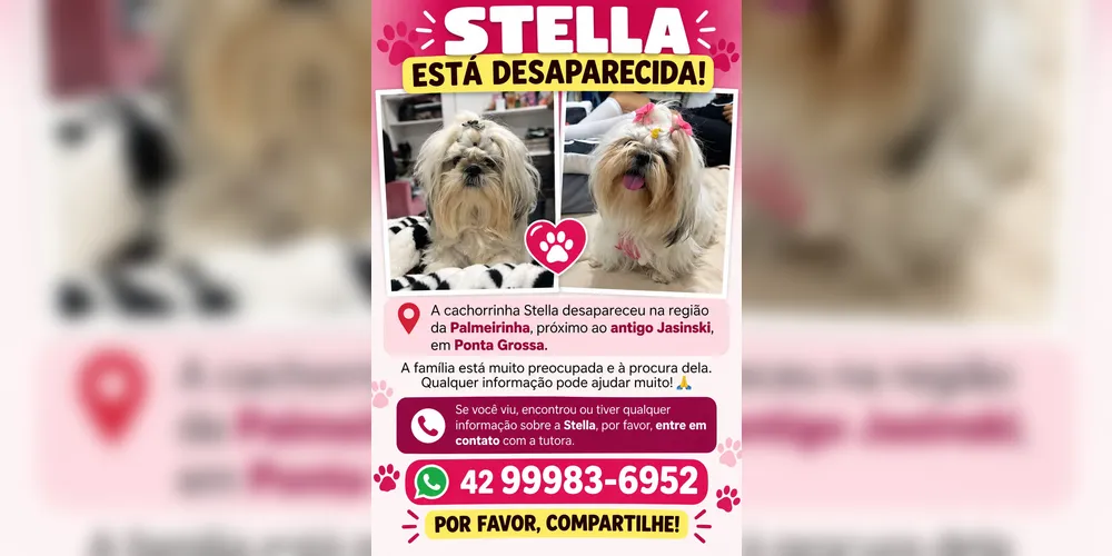 Imagem ilustrativa da imagem Família pede ajuda para encontrar cachorrinha desaparecida na região da Palmeirinha