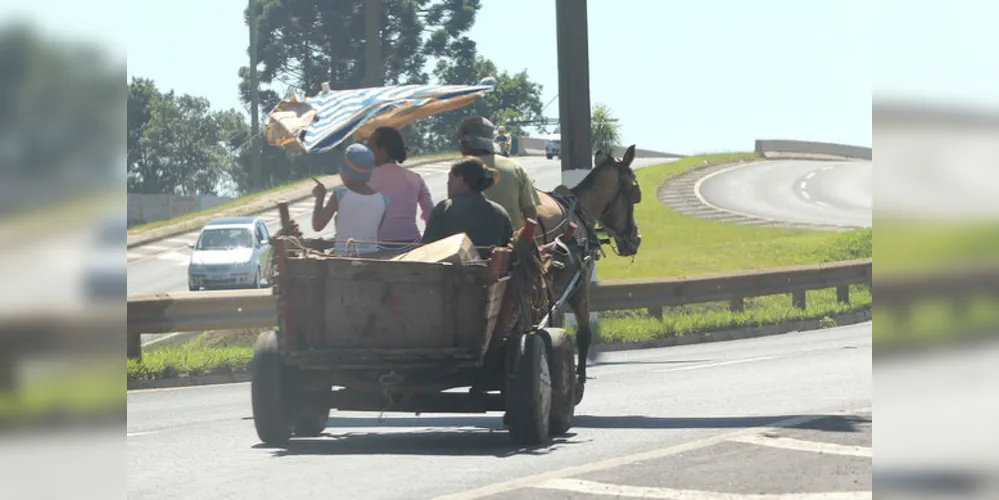 Imagem ilustrativa da imagem Vereador quer proibir carroças na área urbana de PG
