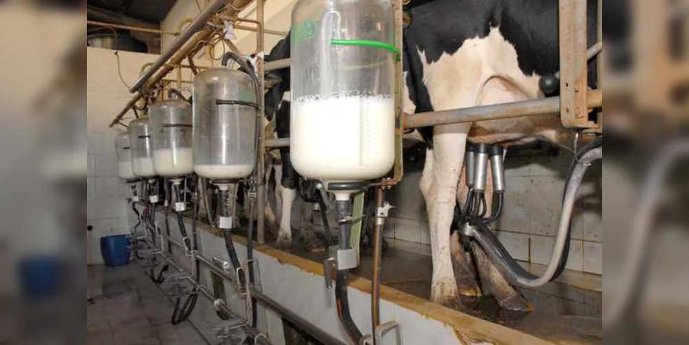Castro aparece como maior produtora de leite do país