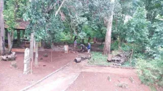 Imagem ilustrativa da imagem Estudantes de escola ocupada limpam bosque em PG