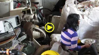 Imagem ilustrativa da imagem EM PG, catadores comem no meio do lixo e entre ratos