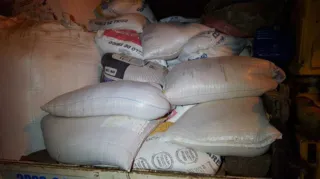 Imagem ilustrativa da imagem Polícia prende dupla por desvio de 15 toneladas de soja