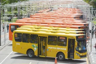 Imagem ilustrativa da imagem Ponta Grossa atinge 100% de acessibilidade nos ônibus