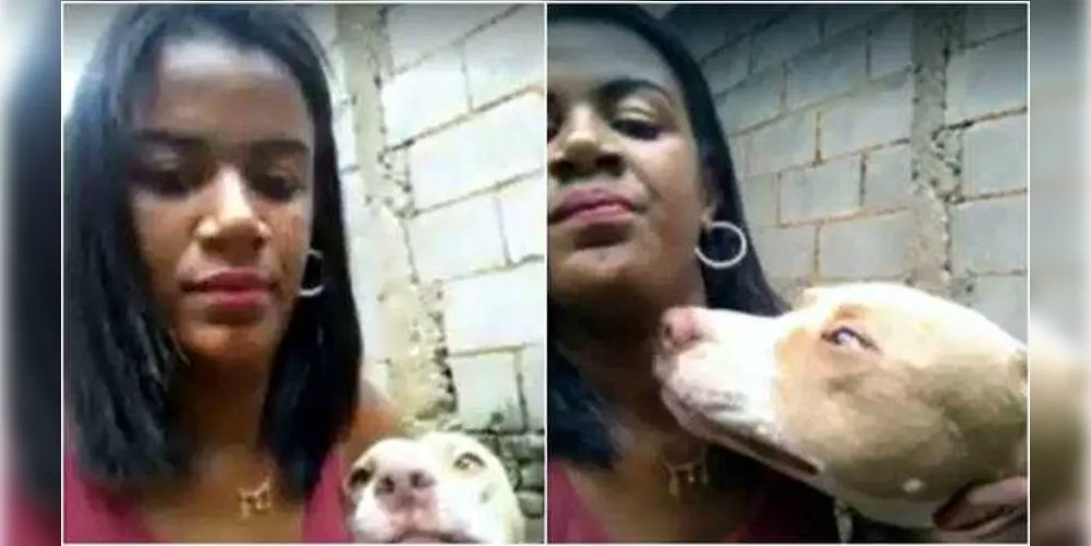 Imagem ilustrativa da imagem Pitbull ataca dona após selfie em MG