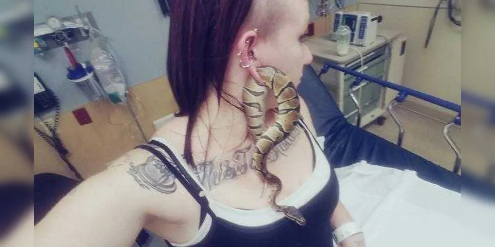 Imagem ilustrativa da imagem Mulher vai ao hospital após cobra ficar presa na orelha