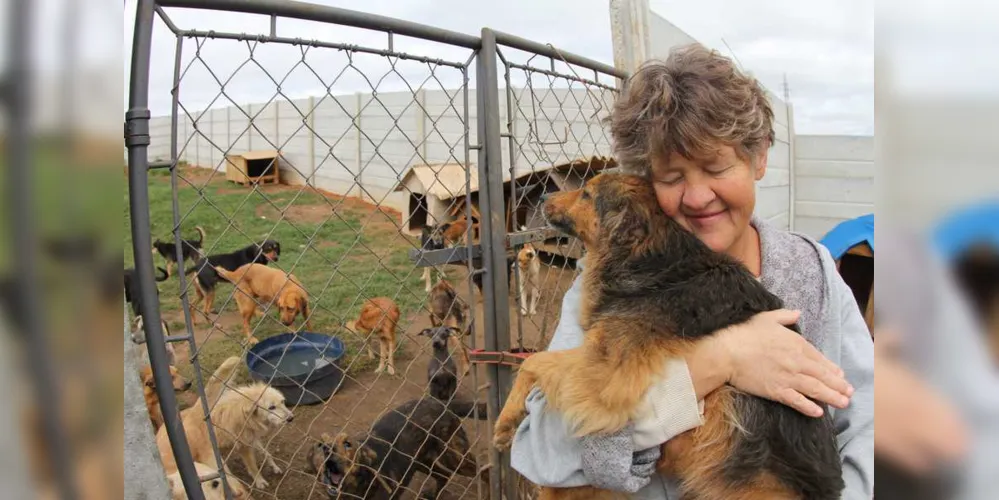 ONG cuida de mais de 300 animais de rua que foram abandonados pelos donos e acumula dívidas
