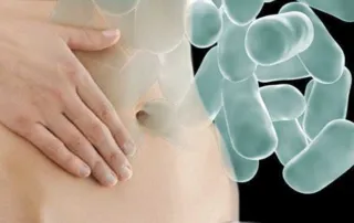 Imagem ilustrativa da imagem Probióticos: os microorganismos do bem