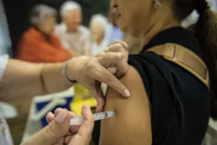 Imagem ilustrativa da imagem Governo libera R$ 13,8 milhões para vacinação contra febre amarela