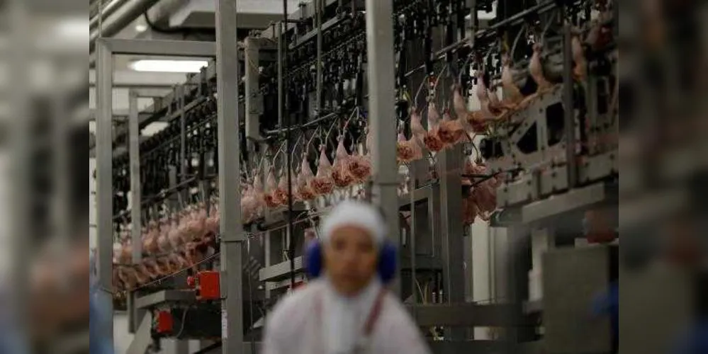 Imagem ilustrativa da imagem Países anunciam volta de importação de carne brasileira