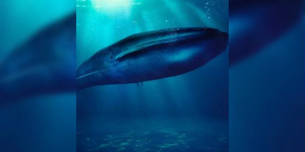 Pais devem ficar atentos com o jogo ‘Baleia Azul’/ Foto: Uol/Getty Images