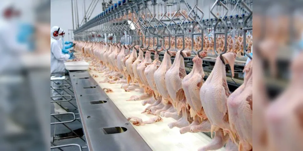 Imagem ilustrativa da imagem Exportações paranaenses de carnes aumentam em 15%