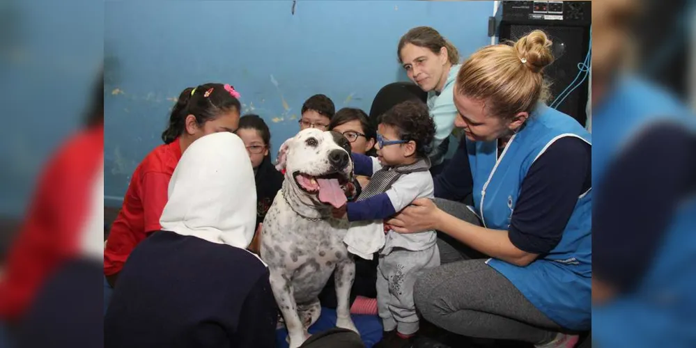 Imagem ilustrativa da imagem Departamento do Deficiente de PG realiza terapia assistida por animais