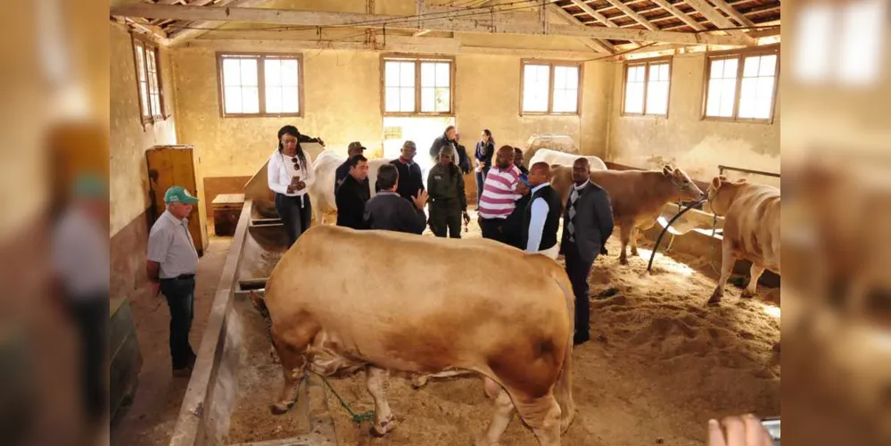 Imagem ilustrativa da imagem Comitiva africana faz visita na Fazenda do Cescage e no Iapar