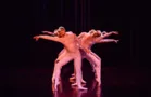 PG vai sediar Mostra Paranaense de Dança