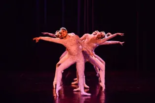 Imagem ilustrativa da imagem PG vai sediar Mostra Paranaense de Dança