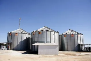 Imagem ilustrativa da imagem Supersafra expõe déficit no armazenamento de grãos
