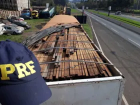 Motorista do caminhão apresentou documentação falsa e foi encaminhado para a Polícia Federal | Divulgação/PRF
