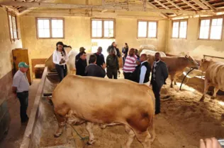 Imagem ilustrativa da imagem Comitiva africana faz visita na Fazenda do Cescage e no Iapar