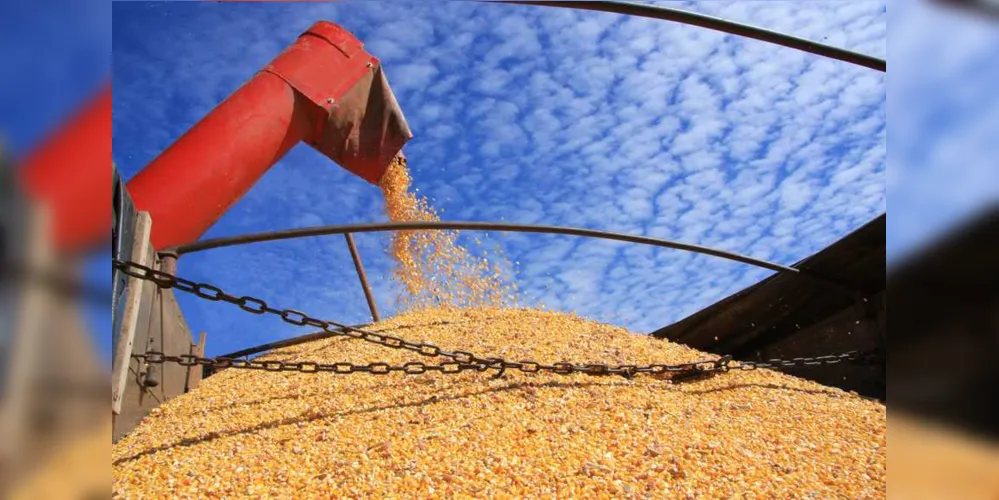 Imagem ilustrativa da imagem Paraná deverá colher 39,1 milhões de toneladas de grãos na safra 2017