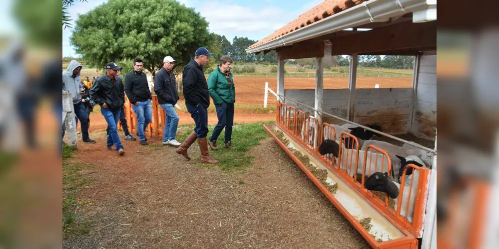 Imagem ilustrativa da imagem 'Rally do Cordeiro' visita Fazenda Escola do Cescage