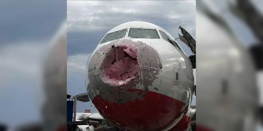 O bico da aeronave ficou completamente destruído pelas pedras de gelo/Foto: Arquivo Pessoal/ olexander scherba‏