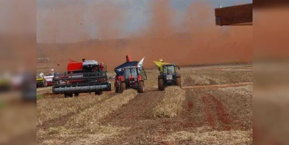 Agricultores esperam este ano recorde na produção de soja e milho, somando 214 milhões de toneladas/Foto: Reprodução Agência Brasil