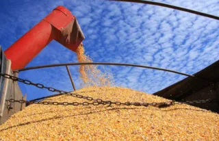 Imagem ilustrativa da imagem Paraná deverá colher 39,1 milhões de toneladas de grãos na safra 2017