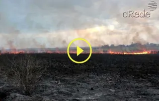 Imagem ilustrativa da imagem Bombeiros combatem incêndio em Vila Velha