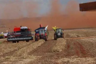 Agricultores esperam este ano recorde na produção de soja e milho, somando 214 milhões de toneladas/Foto: Reprodução Agência Brasil