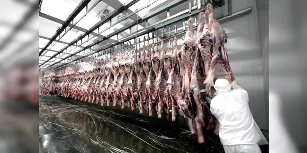 Imagem ilustrativa da imagem Exportação de carne bovina registra alta de 13,4%