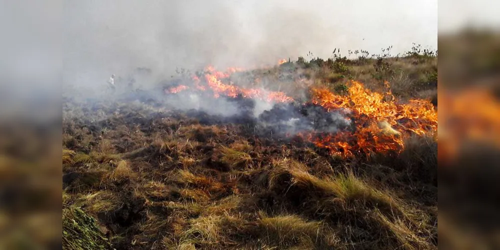 Com o tempo seco, as queimadas são frequentes/Foto: Divulgação Comdec Tibagi