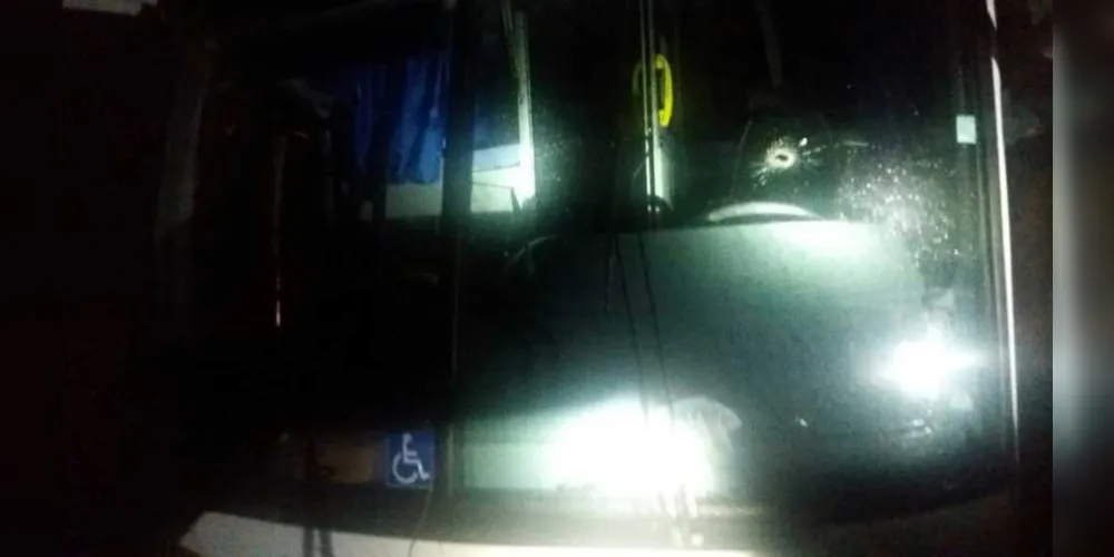 Imagem ilustrativa da imagem Ônibus de turismo é assaltado por quinteto na BR-277