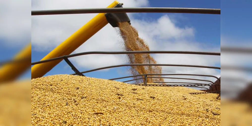 Imagem ilustrativa da imagem Paraná vai colher 20 milhões de toneladas de grãos