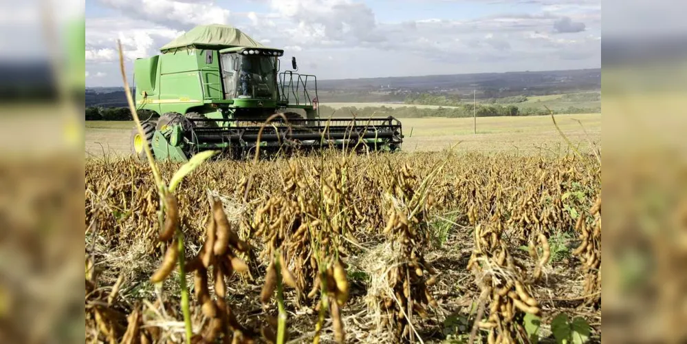 Imagem ilustrativa da imagem Superavit de US$ 81 bilhões do agronegócio foi o 2º maior da história