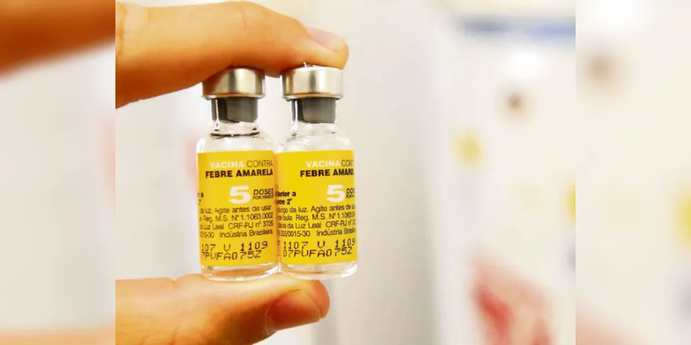A secretaria reforça ainda a importância das pessoas que ainda não se vacinaram buscarem um posto de saúde próximo de casa para se imunizarem./Foto: Divulgação