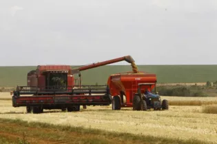 Imagem ilustrativa da imagem Agricultura fecha balanço e confirma safra recorde