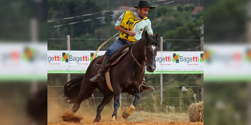 Imagem ilustrativa da imagem Cavalo Crioulo é destaque em evento em Ponta Grossa