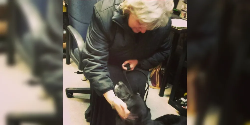  A cachorra estava saudável e bem cuidada/Foto: Reprodução/Instagram animalprotectorsshelter 