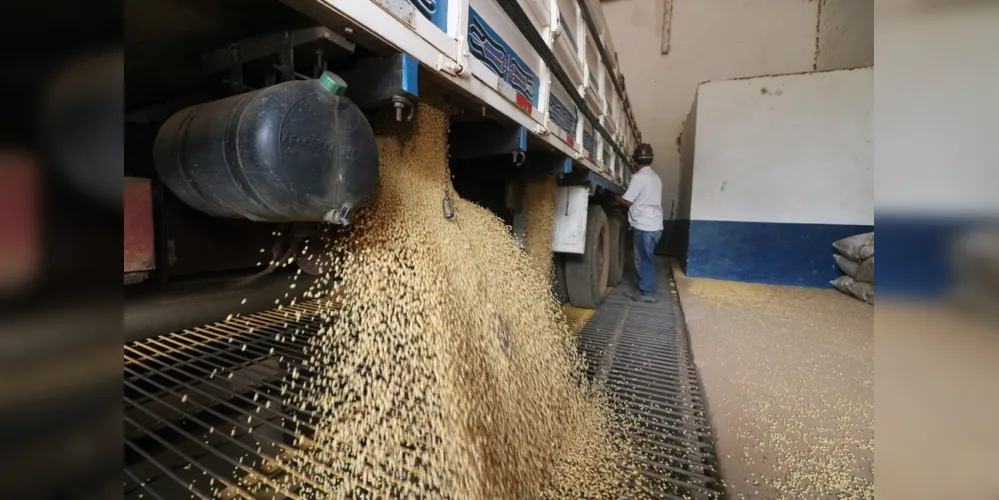 Imagem ilustrativa da imagem Complexo soja de PG exporta R$ 3,14 bilhões em produtos