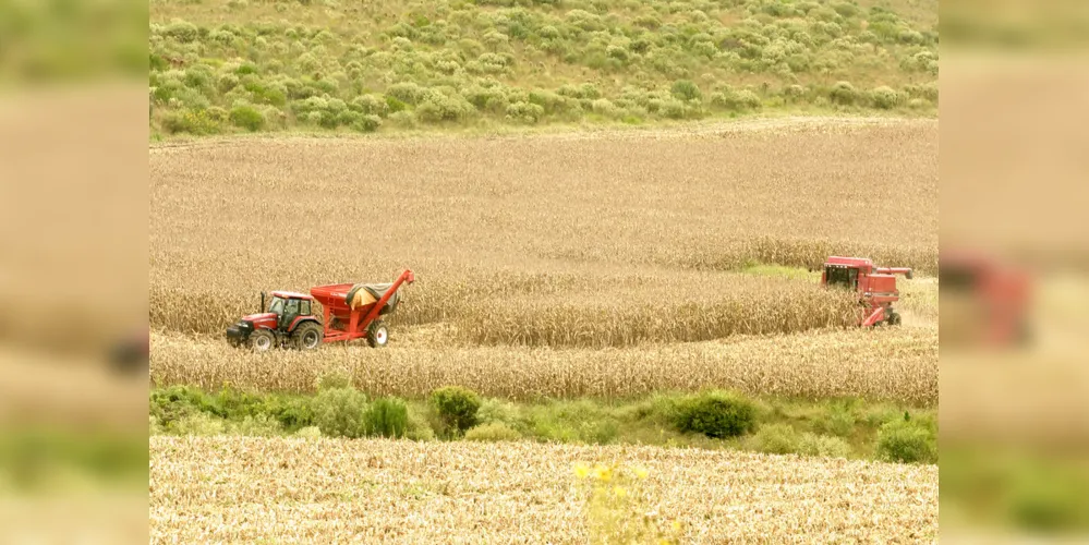 Imagem ilustrativa da imagem Soja e milho obtêm maior valorização na região