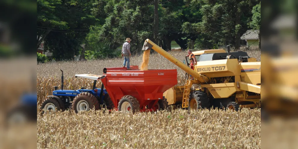 Imagem ilustrativa da imagem Brasil aumenta a produção de grãos em 555,6%