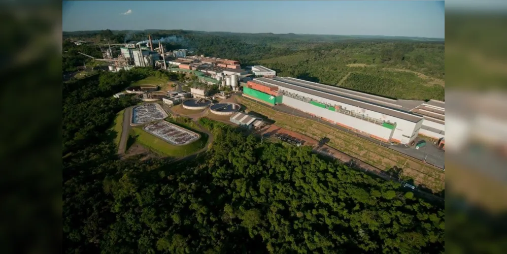 Imagem ilustrativa da imagem Klabin anuncia a construção de Parque de Plantas Piloto