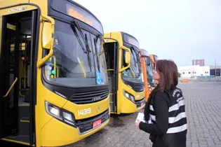 Imagem ilustrativa da imagem AMTT realiza vistoria dos ônibus que circulam em PG