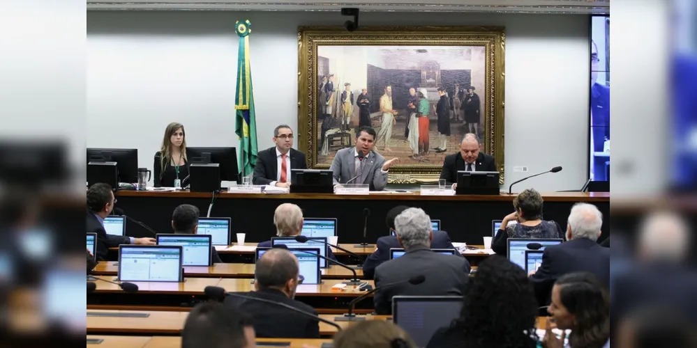 Comissão especial do Escola sem Partido foi presidida pelo deputado Marcos Rogério (DEM-RO)