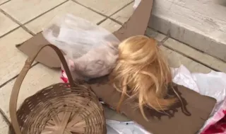 Caixa trazia uma cabeça de porco, uma peruca loira e um bilhete