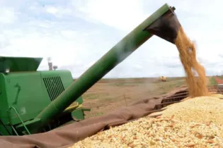 Metade do volume da produção de grãos estimada é do plantio de soja