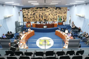 Imagem ilustrativa da imagem Sessões na Câmara de Ponta Grossa retornam nesta segunda